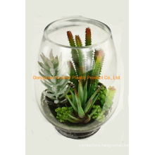 Artificial Plant Mini Bonsai Succulent in Glass Bottle for Home Decoration (51023)